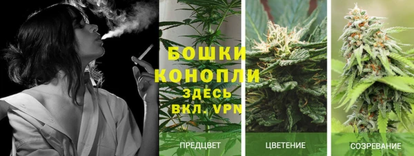трава Волосово